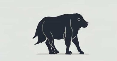 Describe About The Hazards Of Transgenic Animals