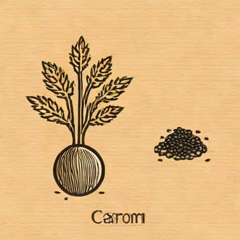 Difference Between Carom And Caraway Seeds