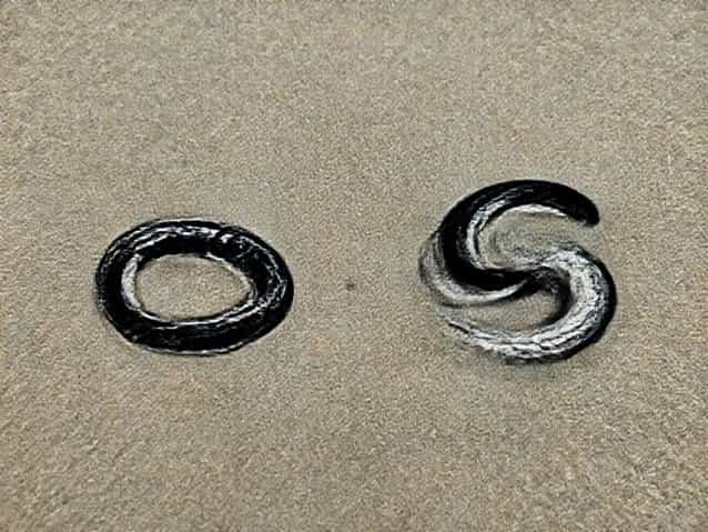 Difference Between Cottonmouth And Water Moccasin