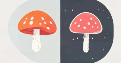 Difference Between Fungal And Bacterial Infection