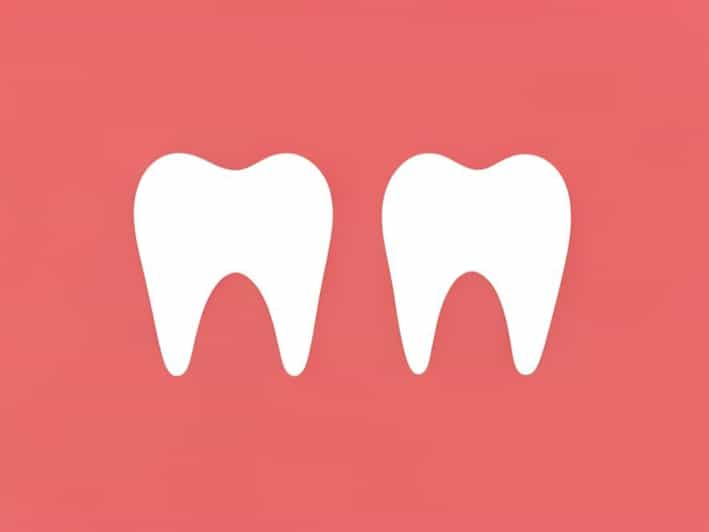 Difference Between Maxillary 1st And 2nd Premolar