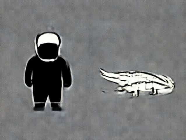 Difference Between Mugger And Saltwater Crocodile