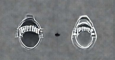 Difference Between Perrier And Maison Perrier