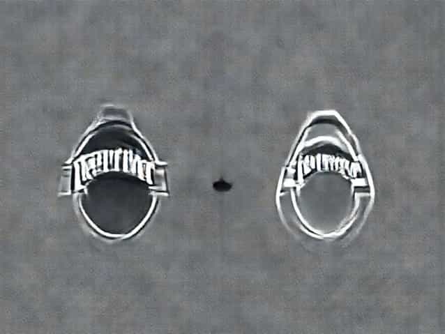 Difference Between Perrier And Maison Perrier