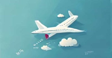 During A Journey On An Airliner Crossword Clue