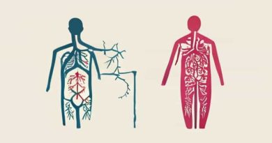 Examples Of Somatic And Autonomic Nervous System