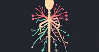 Explain In Detail About Autonomic Nervous System