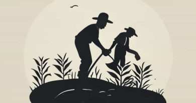 Farmers Suiciding And Agrarian Distress Project