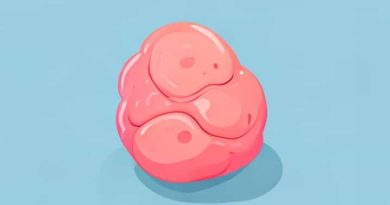 Fat Tissue Is Metabolically Active Which Means It