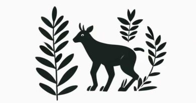 Flagellate That Resembles Both Plants And Animals