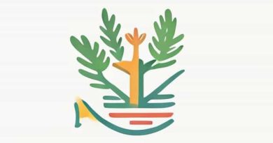 Florida Voluntary Prekindergarten Vpk Assessment