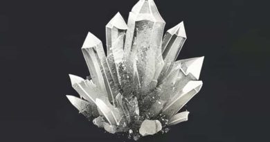 Form From Dissolved Minerals That Crystallize