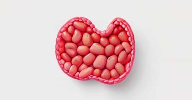 Formed By Absorptive Cells Of The Small Intestine