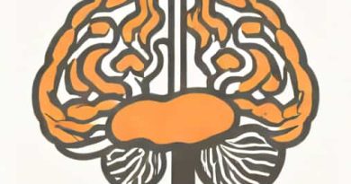 Found In The Cerebral And Cerebellar Cortices