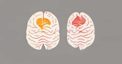 Frontal And Occipital Cortices Are Separated By