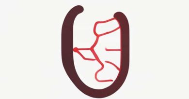 Function Of Proximal And Distal Convoluted Tubule