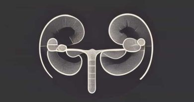 Function Of Seminal Vesicle And Prostate Gland
