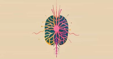 Function Of Somatic And Autonomic Nervous System