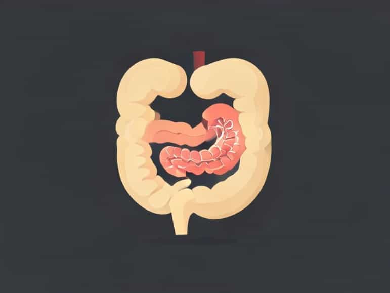 Gastric Peristalsis Function Coefficient In Hindi