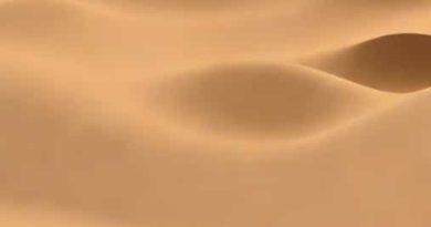Genshin Impact Dune Entombed Fecundity Part 3
