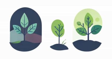 Give Three Examples Of Symbiosis In An Ecosystem