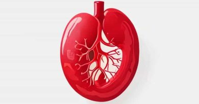 Glomerular Filtrate Is Produced As A Result Of