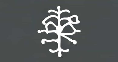 Gross Superficial Morphological Meaning In Hindi