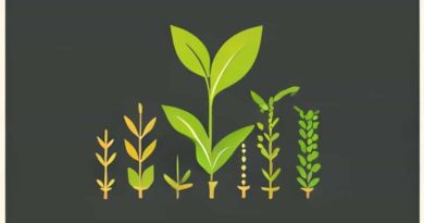 Growth And Development Of Crops In Agronomy Pdf