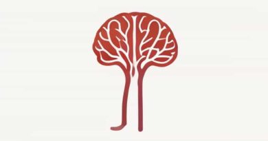 How Many Cranial Nerves Innervate The Tongue