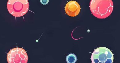 How Many Nucleoli Are Present In Each Nucleus
