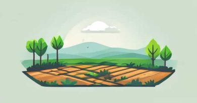 How Much Of The Cultivated Land Is Irrigated