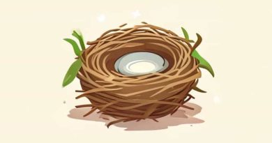 How To Make Nestling Crepe Dreamlight Valley