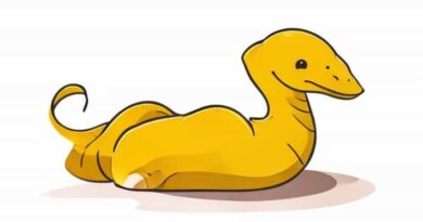 How To Spare Sir Slither Undertale Yellow
