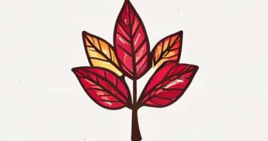 Is The Mayflower Compact A Democratic Document