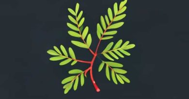 Juniper The Routing Subsystem Is Not Running