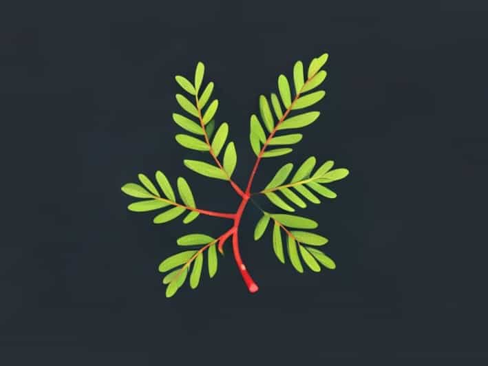 Juniper The Routing Subsystem Is Not Running