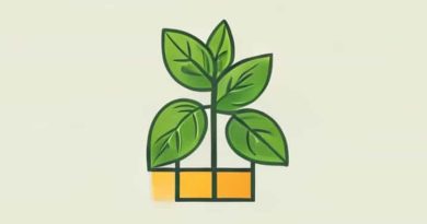 Kind Of Basil Cultivated In India Crossword Clue