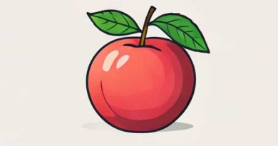 Korean Apricot That Is Also Cultivated In Japan