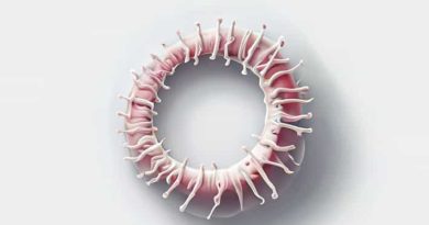 Label The Ciliated Cells And Cartilaginous Ring