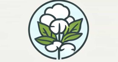 Largest Cultivated Area Of Cotton In The World