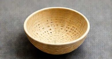 Lightweight Bowl Made Of Interwoven Materials
