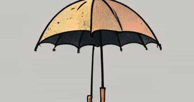 Lost Ark Umbrella The Dimension Of Ignorance