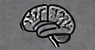 Mazviita Chirimuuta U2013 The Brain Abstracted