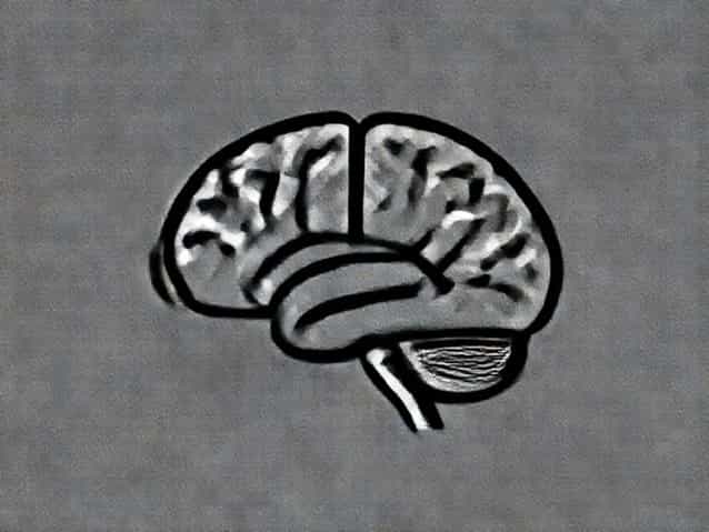 Mazviita Chirimuuta U2013 The Brain Abstracted