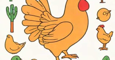 Meaning Of Chicken Parts In Zambian Tradition