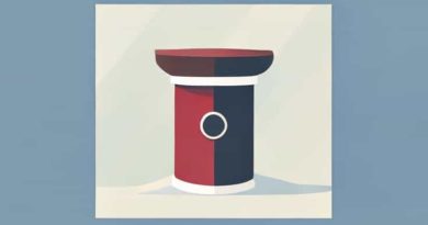 Mill On The Floss As An Autobiographical Novel