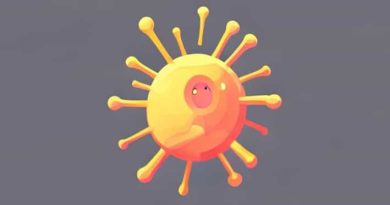 Name The Incipient Nucleus Present In Prokaryotes