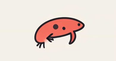 On Removing Thyroid From The Tadpole It Will