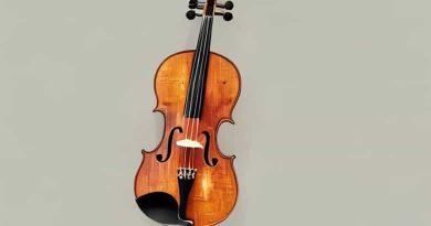 Onetime Center Of Italian Violin Manufacture