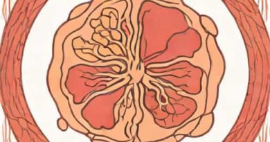 Ovary Serous Cystadenoma Pathology Outlines